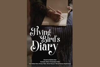 flying bird's diary